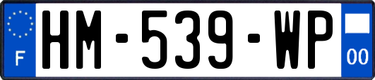 HM-539-WP