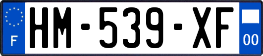 HM-539-XF