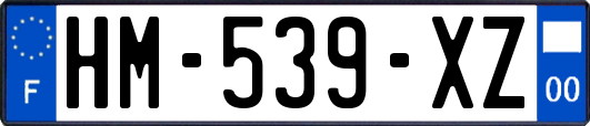 HM-539-XZ