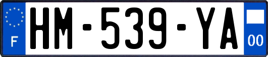 HM-539-YA