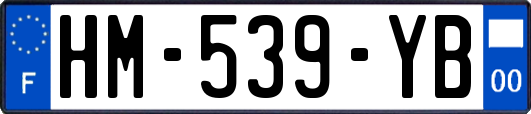 HM-539-YB