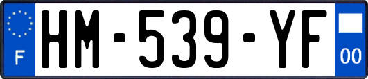 HM-539-YF
