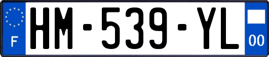 HM-539-YL