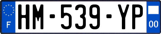 HM-539-YP