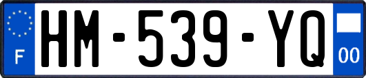 HM-539-YQ