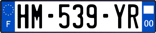 HM-539-YR