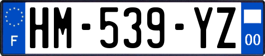 HM-539-YZ