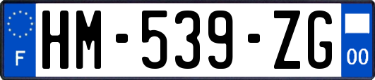 HM-539-ZG