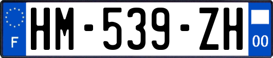 HM-539-ZH