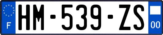 HM-539-ZS