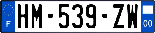HM-539-ZW