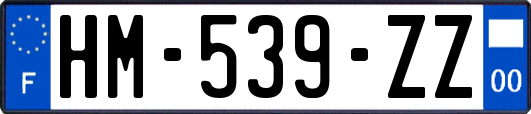 HM-539-ZZ