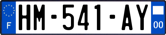 HM-541-AY