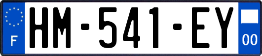 HM-541-EY