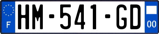 HM-541-GD