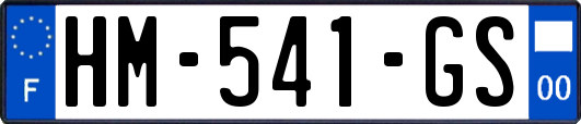 HM-541-GS