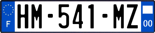 HM-541-MZ