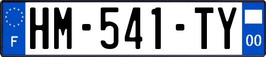 HM-541-TY