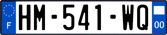 HM-541-WQ