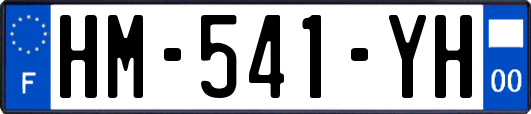 HM-541-YH