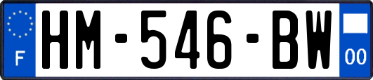HM-546-BW