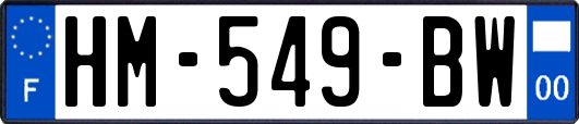 HM-549-BW