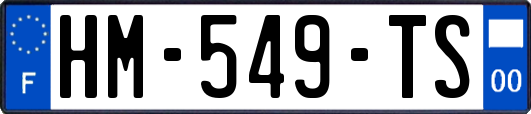 HM-549-TS