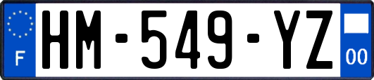 HM-549-YZ