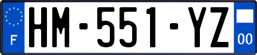 HM-551-YZ