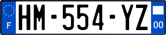 HM-554-YZ