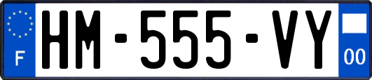 HM-555-VY