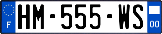 HM-555-WS