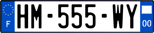 HM-555-WY