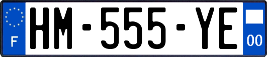 HM-555-YE