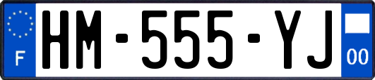 HM-555-YJ