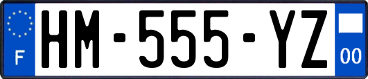 HM-555-YZ
