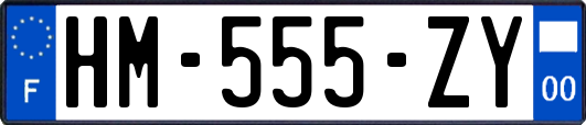HM-555-ZY