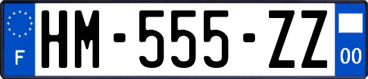 HM-555-ZZ