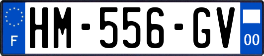 HM-556-GV