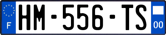 HM-556-TS