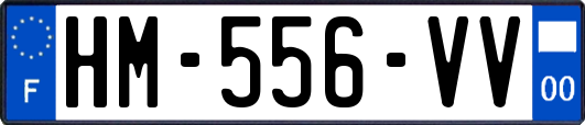 HM-556-VV