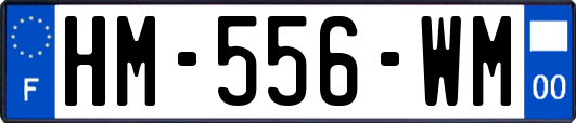 HM-556-WM