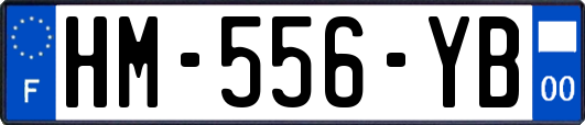 HM-556-YB