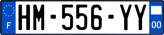 HM-556-YY