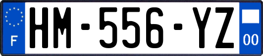 HM-556-YZ