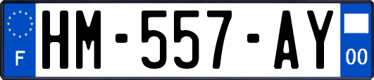 HM-557-AY