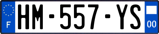 HM-557-YS