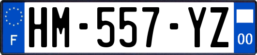 HM-557-YZ
