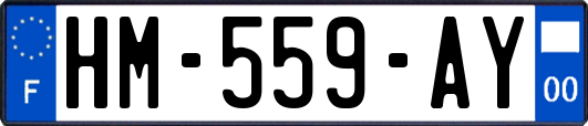 HM-559-AY