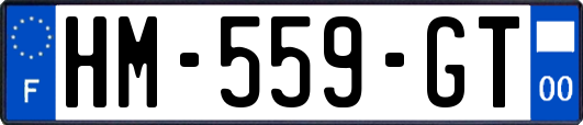 HM-559-GT